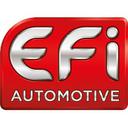 Electricfil Automotive SAS