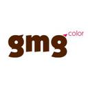 GMG GmbH & Co. KG