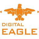 Jiangsu Digital Eagle Technology Development Co. Ltd.
