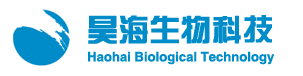 Shanghai Haohai Biological Technology Co., Ltd.