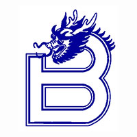 Baolong Electronic Group Co. Ltd.