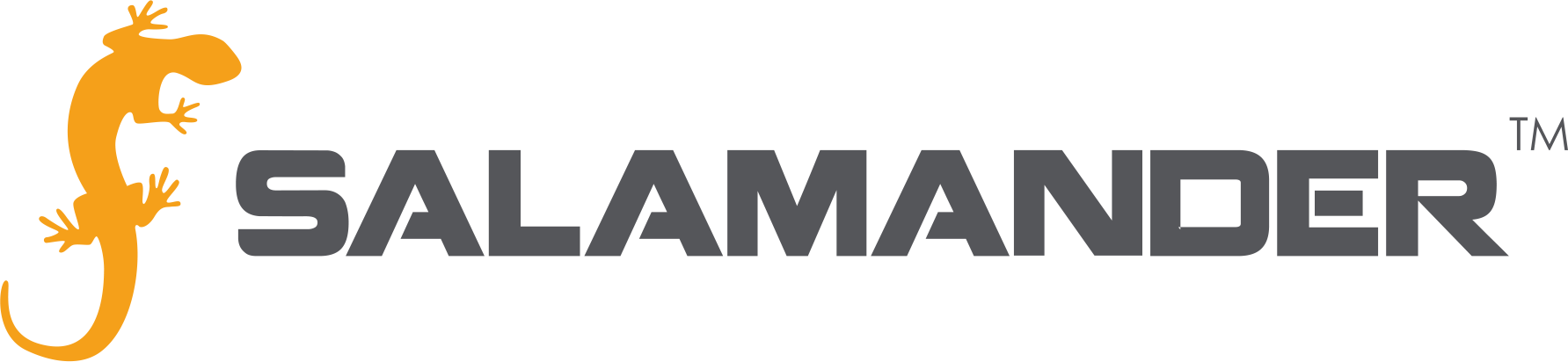 Salamander Technologies LLC