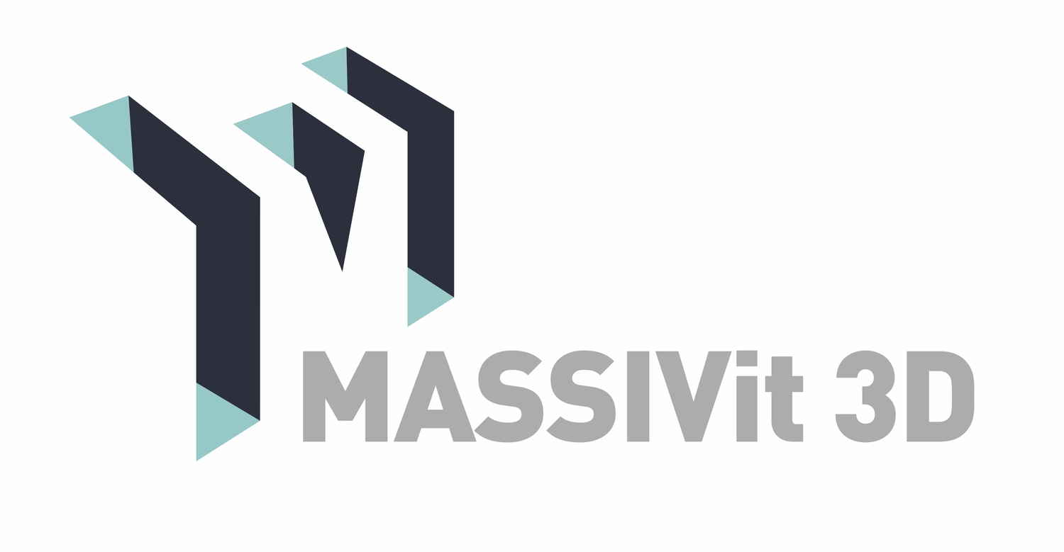 Massivit 3D Printing Technologies Ltd.