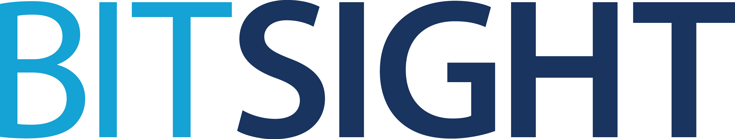 BitSight