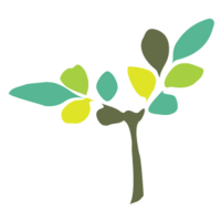 Senescence Life Sciences Pte Ltd.
