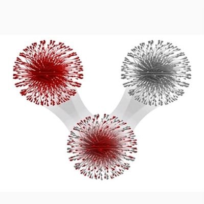 Network Immunology, Inc.