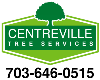 Centreville Tree Services
