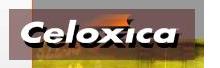 Celoxica Ltd.