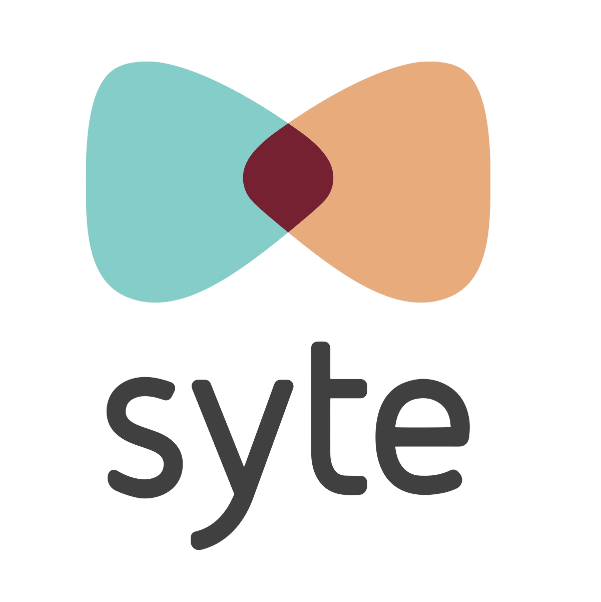 Syte - Visual Conception Ltd.