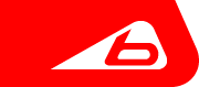 Bolle, Inc.