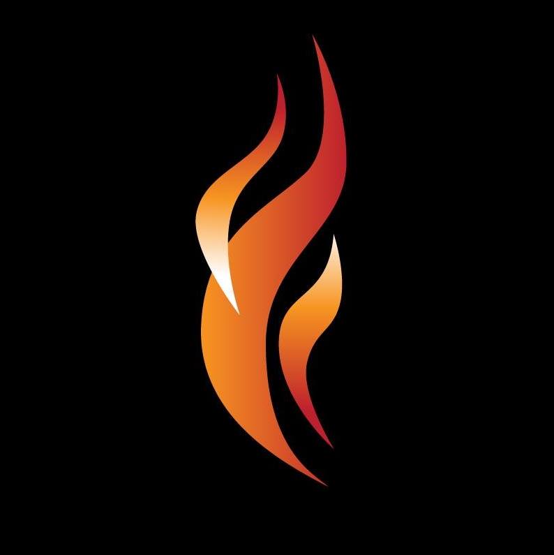 Modern Flames LLC