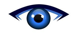 EyeCRO LLC