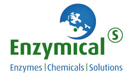 Enzymicals AG
