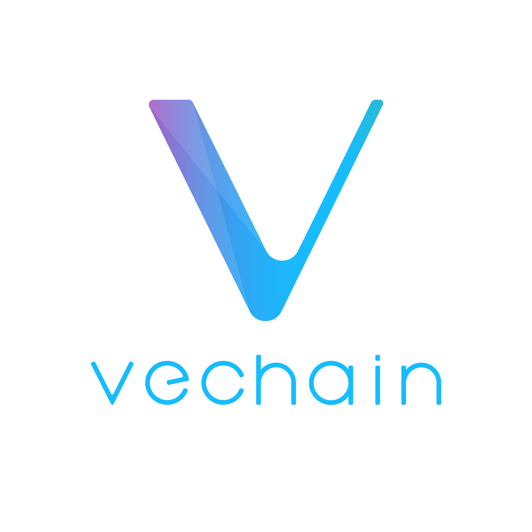 Shanghai Weilian Information Technology Co. Ltd.