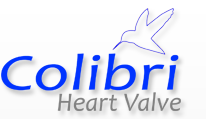 Colibri Heart Valve LLC