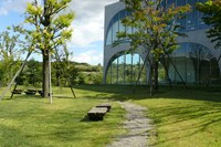 Tama Art University