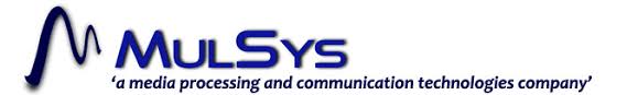 MulSys Ltd.