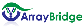 Array Bridge