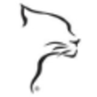 Innovative Timing Systems LLC