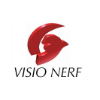 Visio Nerf