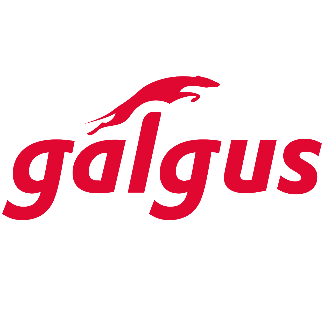 Galgus Global SL