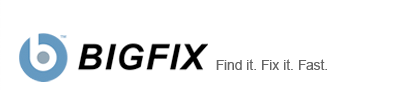 BigFix, Inc.