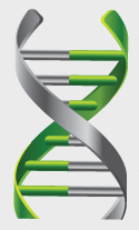 Vivex Biomedical, Inc.