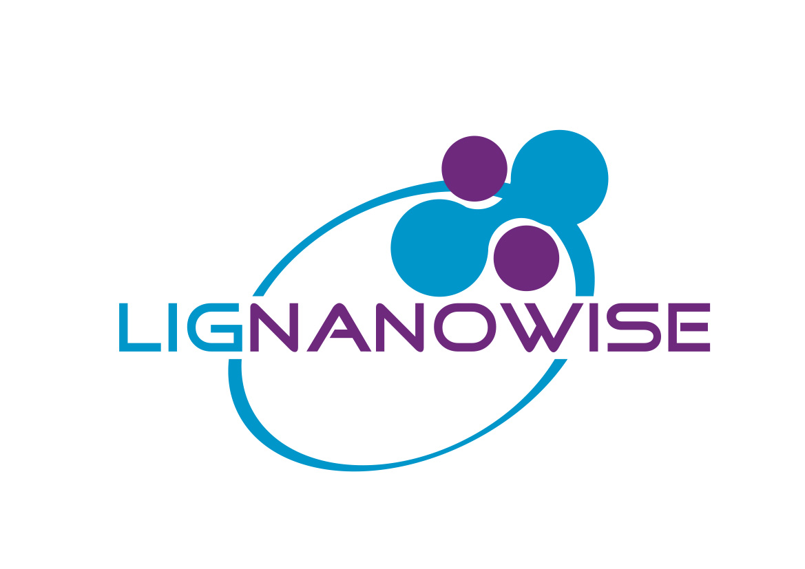 LIG Nanowise Ltd.