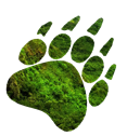 Solarvest BioEnergy, Inc.