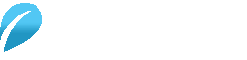 PPM Technologies LLC