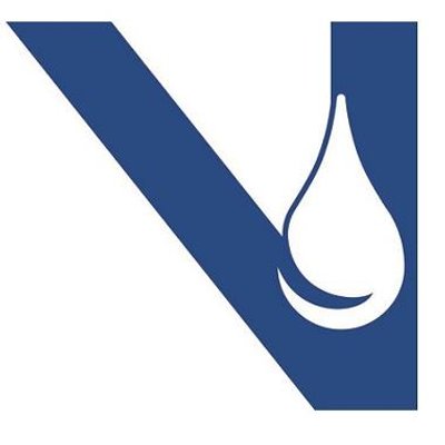 Viking Group, Inc.