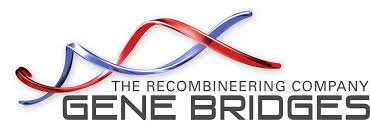 Gene Bridges GmbH