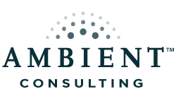 Ambient Consulting LLC