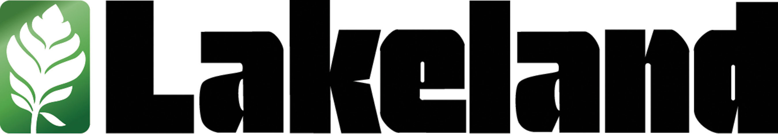 Lakeland Industries, Inc.