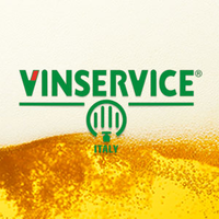 Vin Service Srl