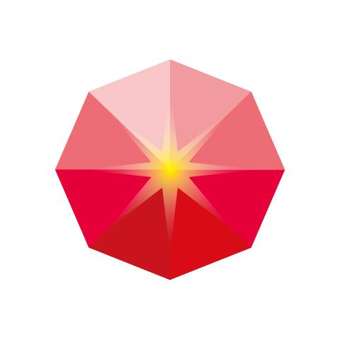 Redstone Sunshine (Beijing) Technology Co., Ltd.