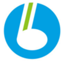 Shenzhen Bellsing Acoustic Technology Co. Ltd.