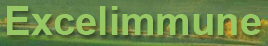 Excelimmune, Inc.