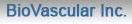 BioVascular, Inc.