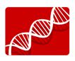 GBiotech SARL
