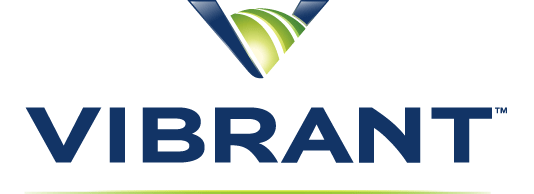Vibrant Media, Inc.