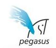 Pegasus Technologies Ltd.