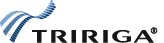 TRIRIGA, Inc.