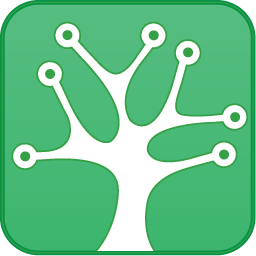 API NetWorks Inc