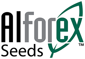 Alforex Seeds LLC