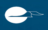SSAE
