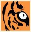 Tora Trading Services LLC