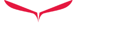 Ibis Tek