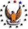 Falcon Solution and Services