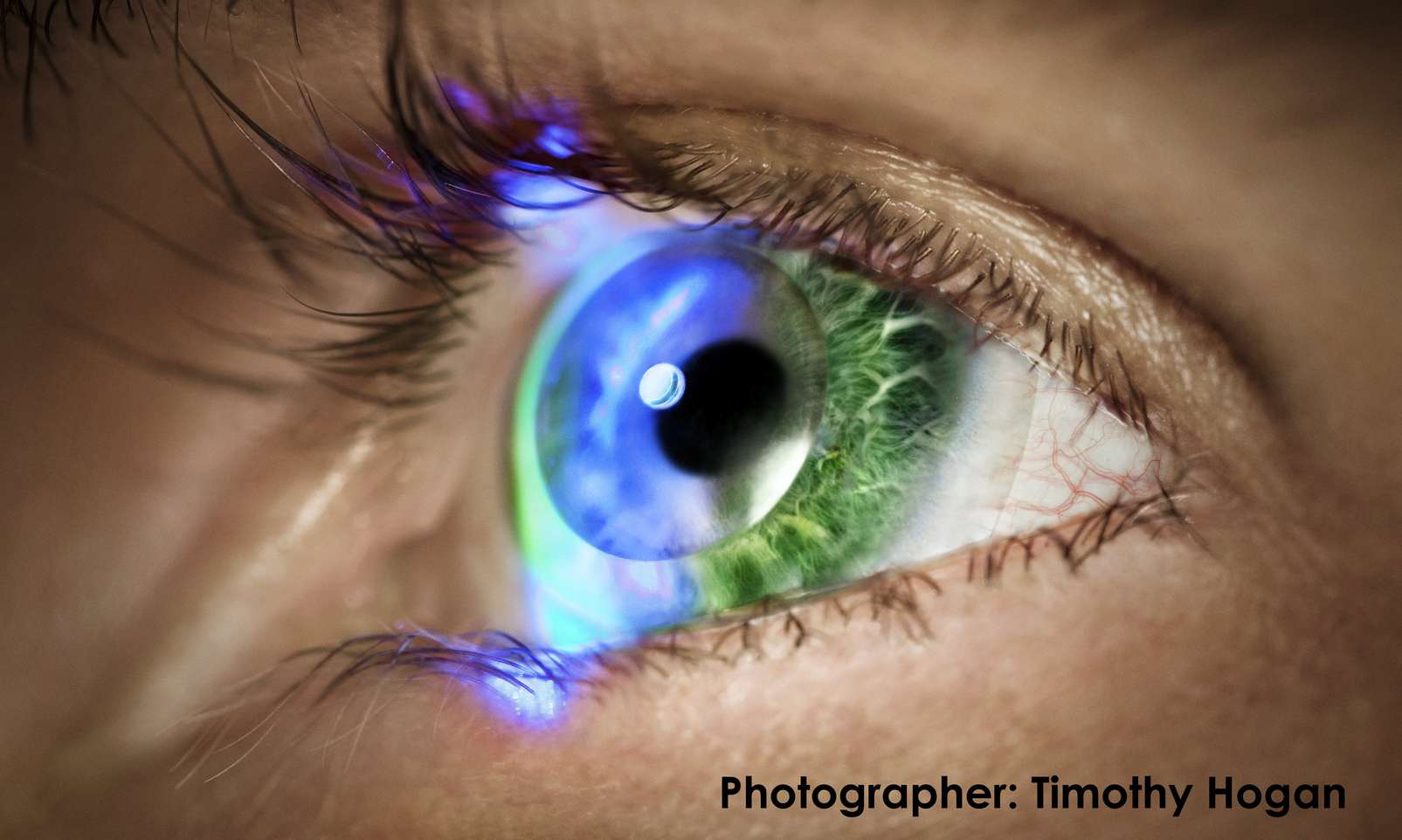 Innovega, Inc.